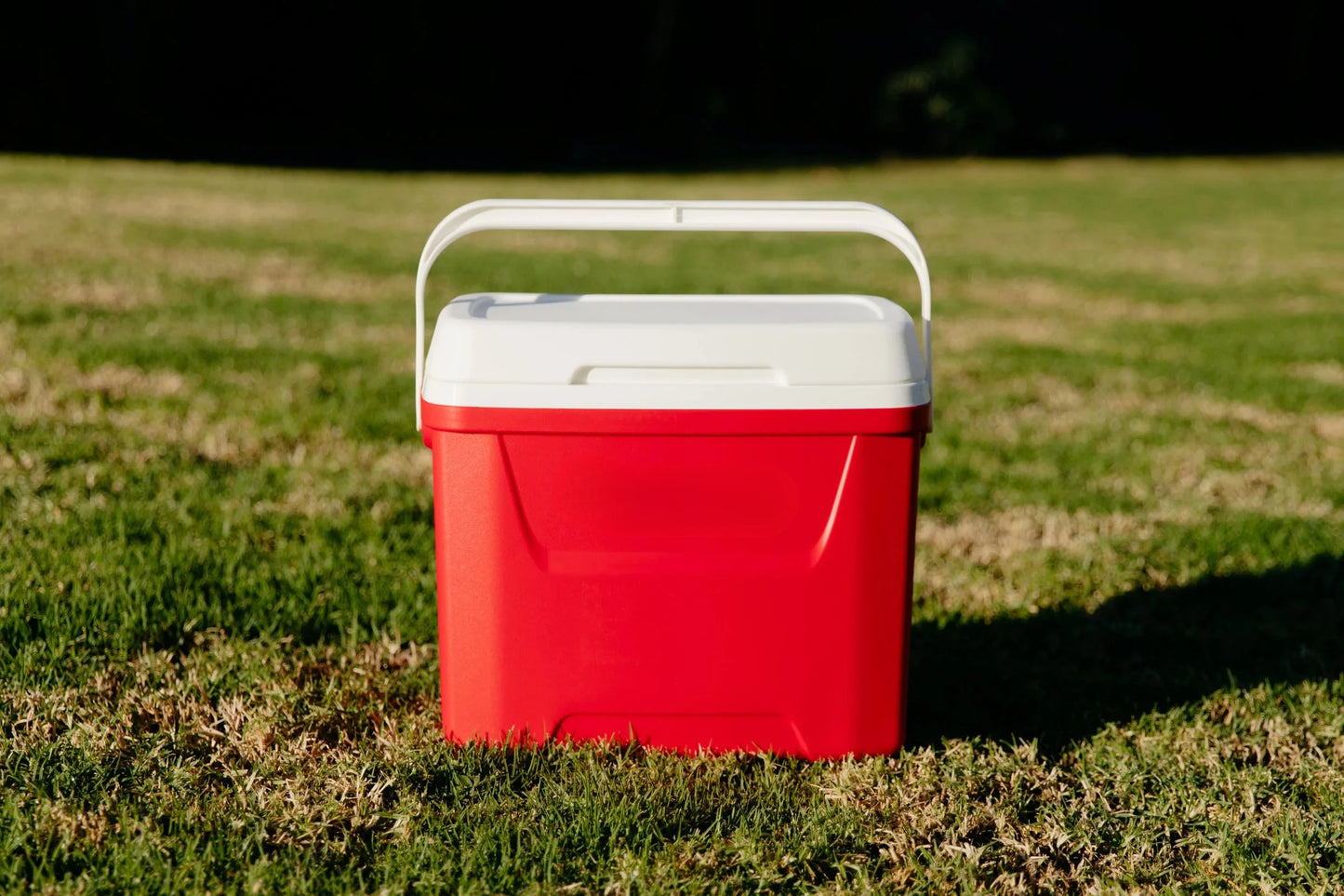 28 QT Cooler, Swing-Away Handle